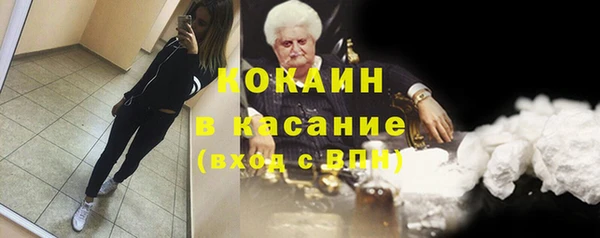 меф Горняк