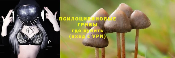 СК Горнозаводск
