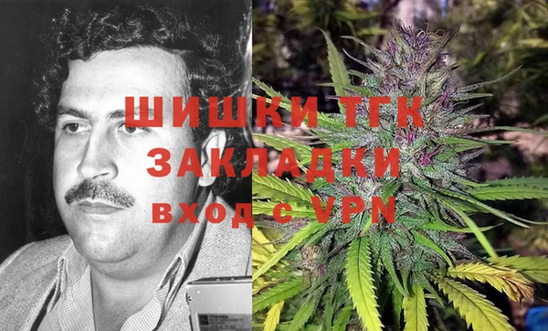 меф Горняк
