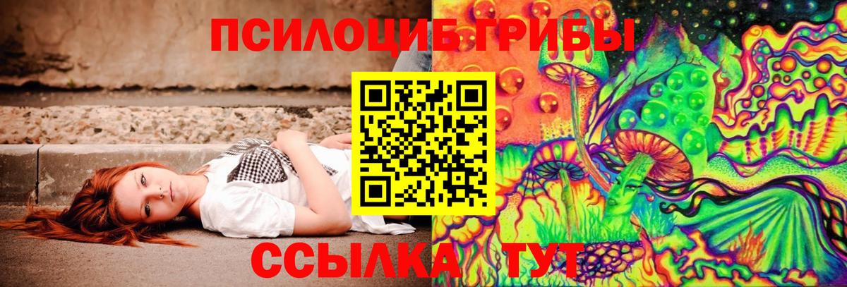 Псилоцибиновые грибы GOLDEN TEACHER  Вход с VPN  Горячий Ключ 